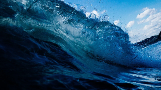 A-and-M_Newsletter_Q1_2025_Orbital_Case_Study