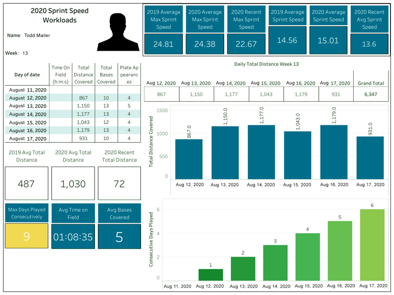 Dash Sprint Workload Report 2020 - deidentified