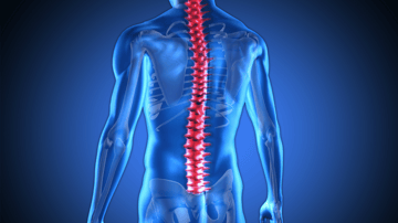 Estimation of spinal loading during manual materials handling