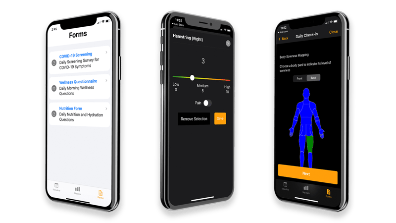 wellness_survey
