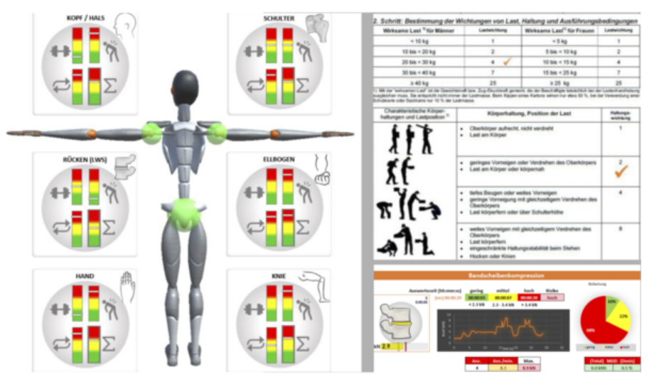 Scalefit report