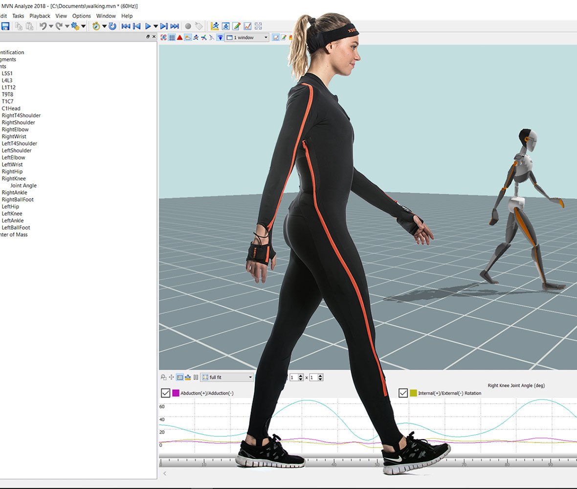 analyze-walking-1