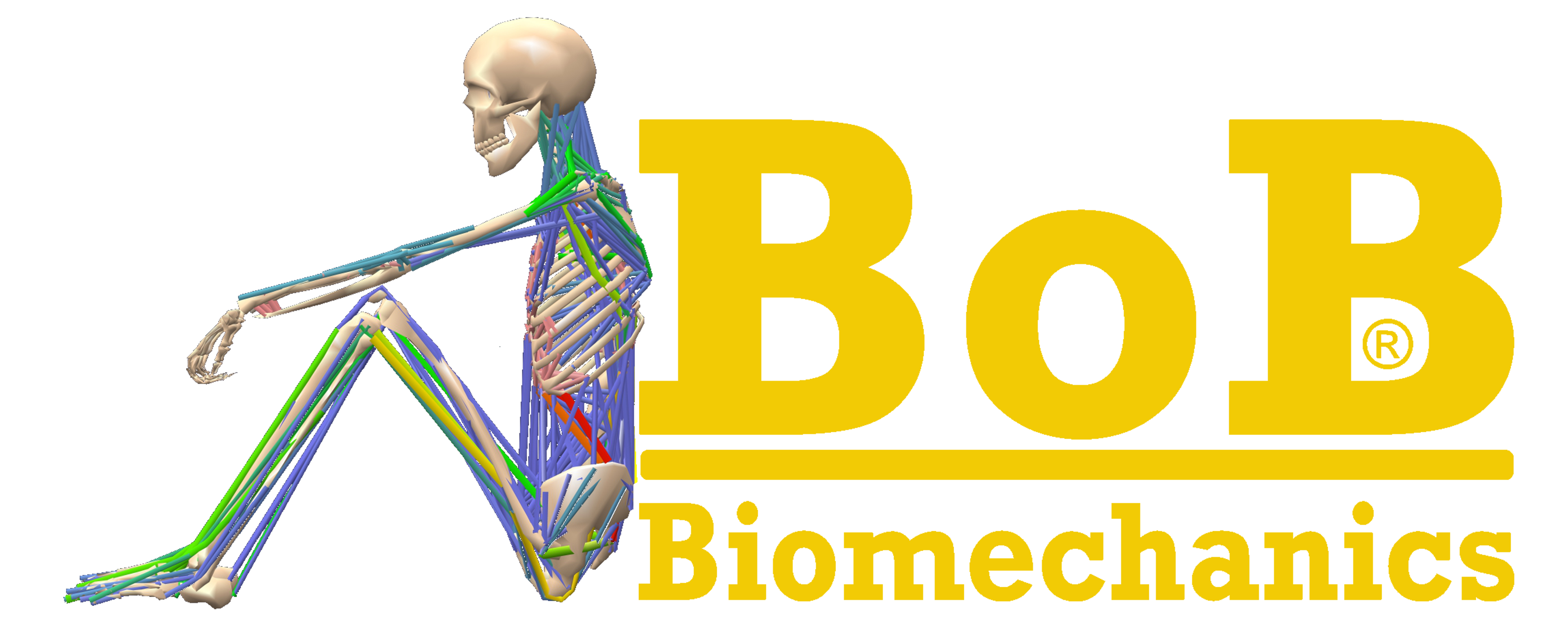 Bob biomechanics logo