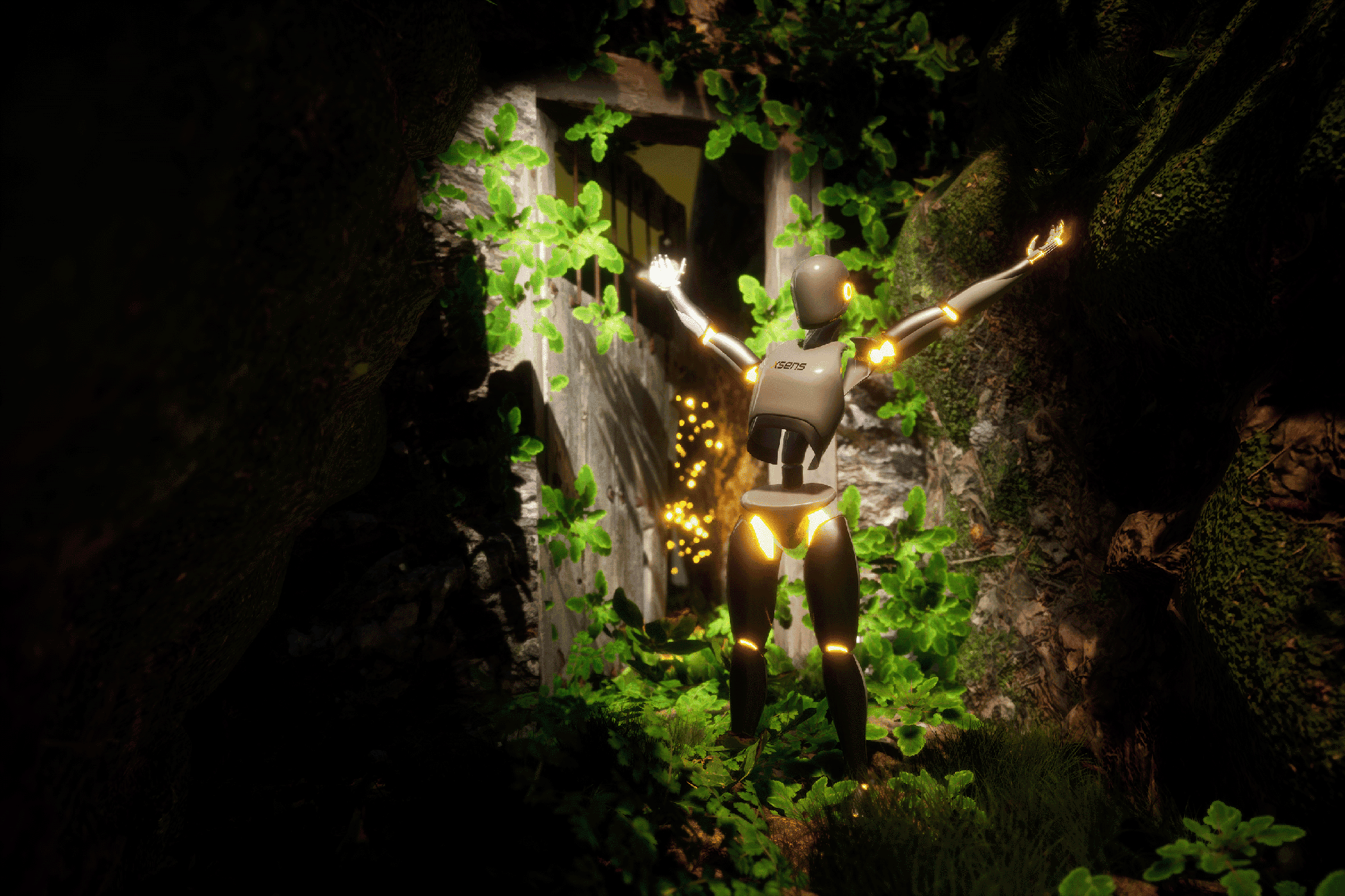 Xsens2 compressed