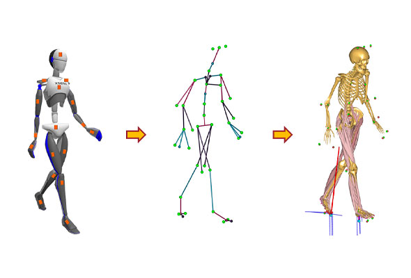 Image of animation showing character rigging and skeleton