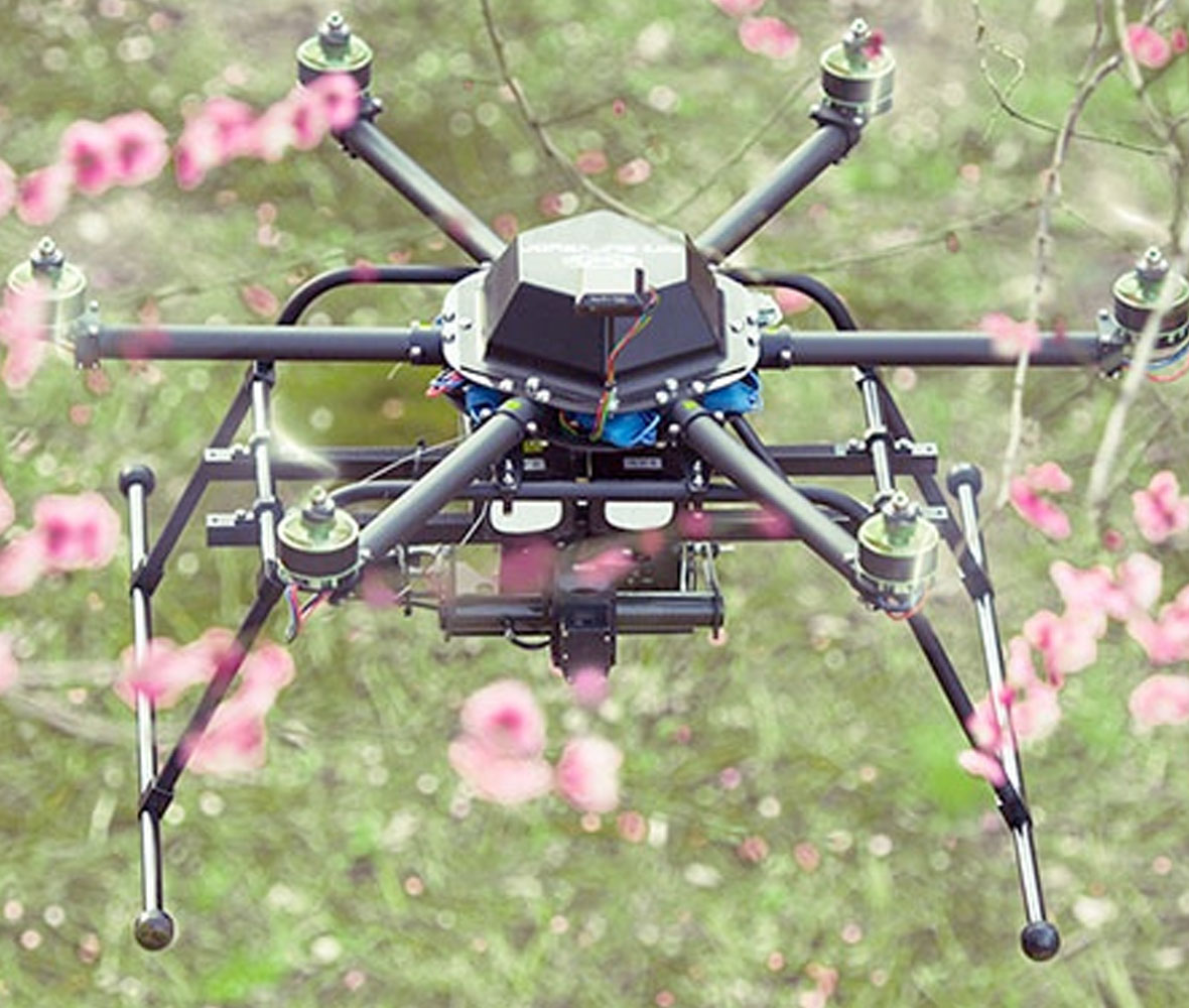 drone-in-field